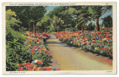 Golden Gate Park