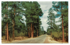 An Arizona Highway