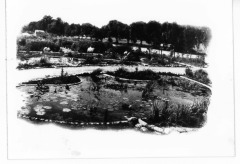 San Fernando Nursery Co., Inc. (taken from a book in San Fernando Valley Historical Society collection)