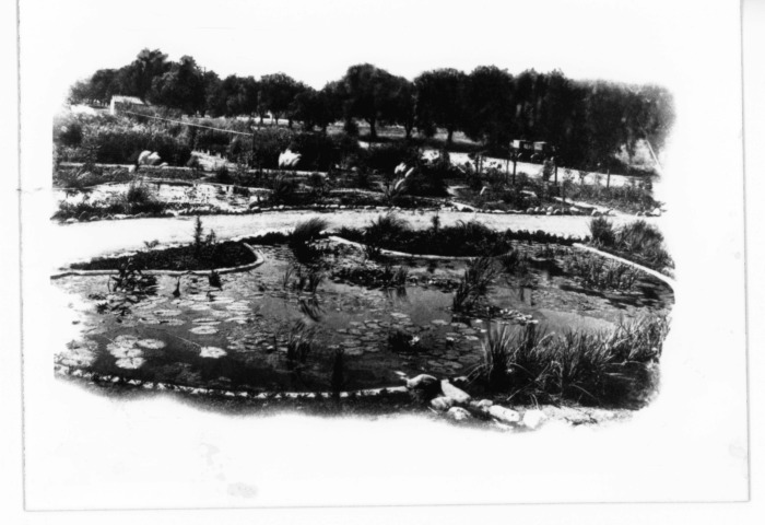 San Fernando Nursery Co., Inc. (taken from a book in San Fernando Valley Historical Society collection)