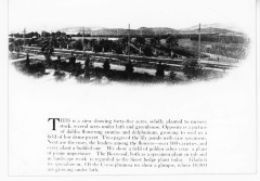 San Fernando Nursery Co., Inc. (taken from a book in San Fernando Valley Historical Society collection)