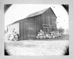 Cecil and Clara Wilcox barn