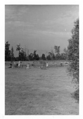 Pioneer Cemetery, Sylmar, California