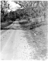 Old Cahuenga Pass road, 1913