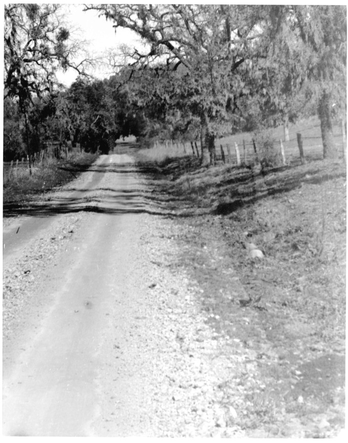 Old Cahuenga Pass road, 1913