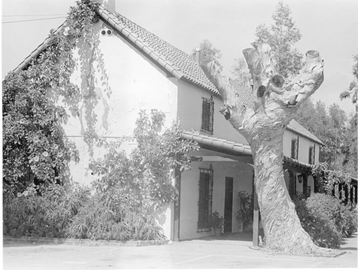 Pico Adobe