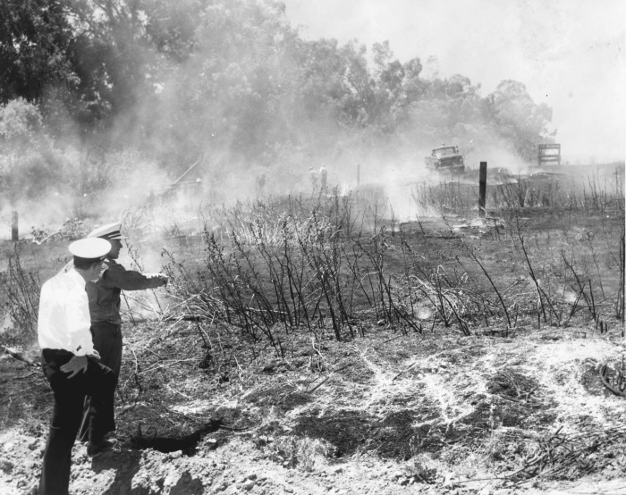 Brush fire