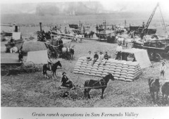 Grain ranch operations, San Fernando Valley