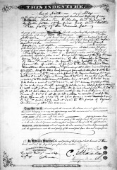 Transfer to Catalina Pico from Andres Pico, E. Maclay, & Eulogio F. de Celis
