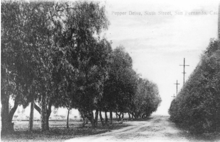 Pepper Drive, Sixth Street, San Fernando, California