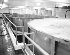 Collection Item Busch Gardens Beer Vats