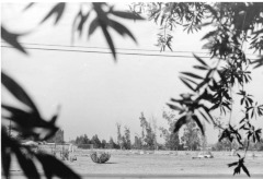 Pioneer Cemetery, Sylmar, California