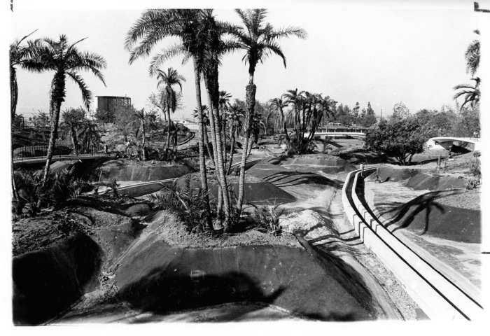 View Of Busch Gardens