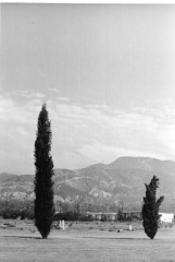 Pioneer Cemetery, Sylmar, California