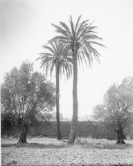 San Fernando Mission