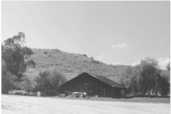 Old barn, Sunland Blvd. near Glenoaks, Sun Valley