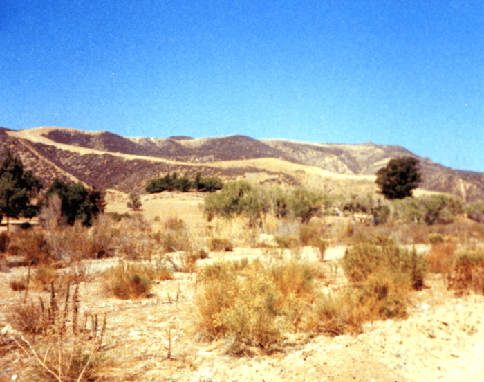 Private cemetery, Canyon Country, Owner: Mr. Patton