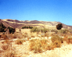 Private cemetery, Canyon Country, Owner: Mr. Patton