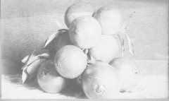 Oranges