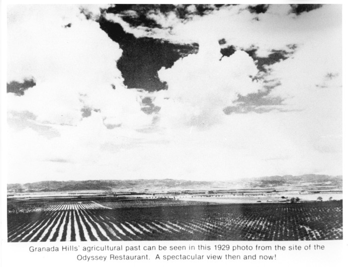 Granada Hills, CA, Agricultural park seen from Odyssey site