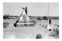 Grove of Hi Jolly, camel driver brought to U.S. by the army to train the newly formed camel corps., at Quartzite, Arizona